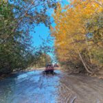 ATV Tour on Knik River with Alaska Backcountry Adventure Tours Palmer Alaska 3