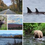 Alaska Road Trip Collage