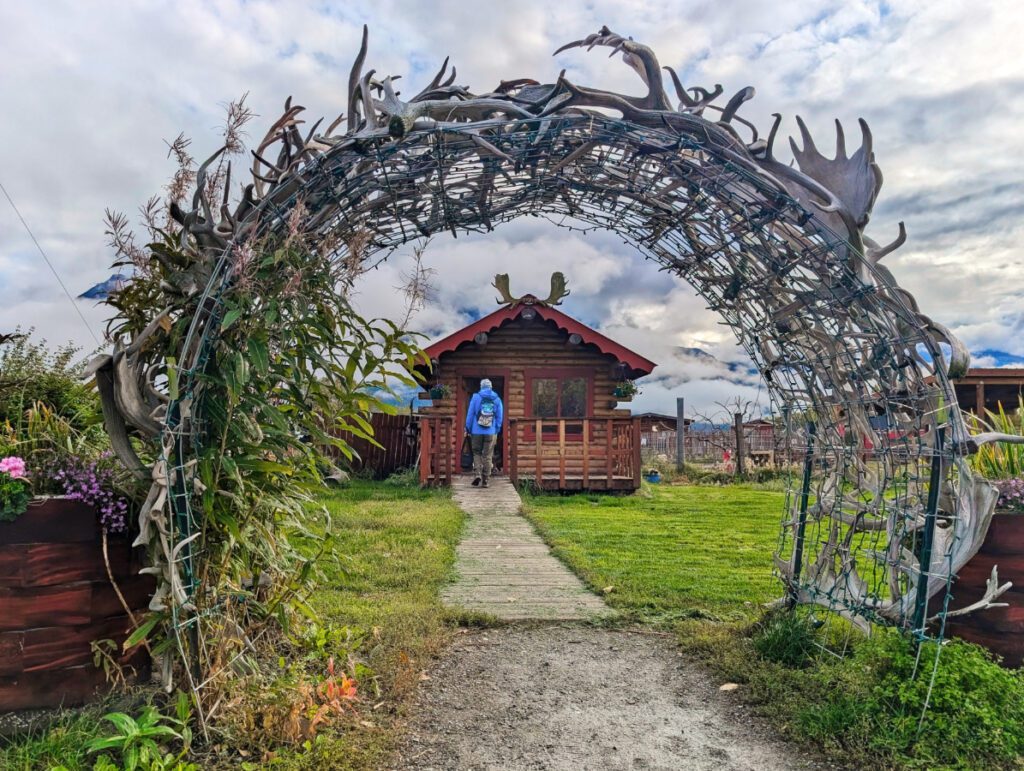 Antler Trellis at Reindeer Farm in Palmer Alaska 1