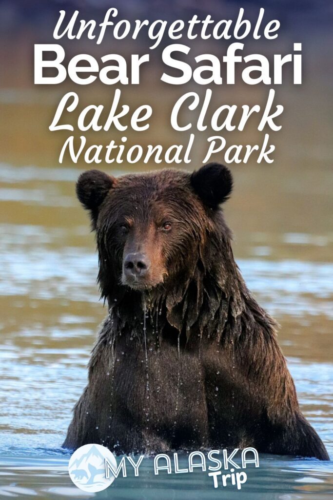 Bear viewing at Lake Clark National Park surpassed my hopes of what it might be like. Starting with a seaplane flight from Anchorage and seeing Alaskan brown bears from the air even before landing and then getting to observe them up close, this is one of the most spectacular wildlife experiences I've had in Alaska.