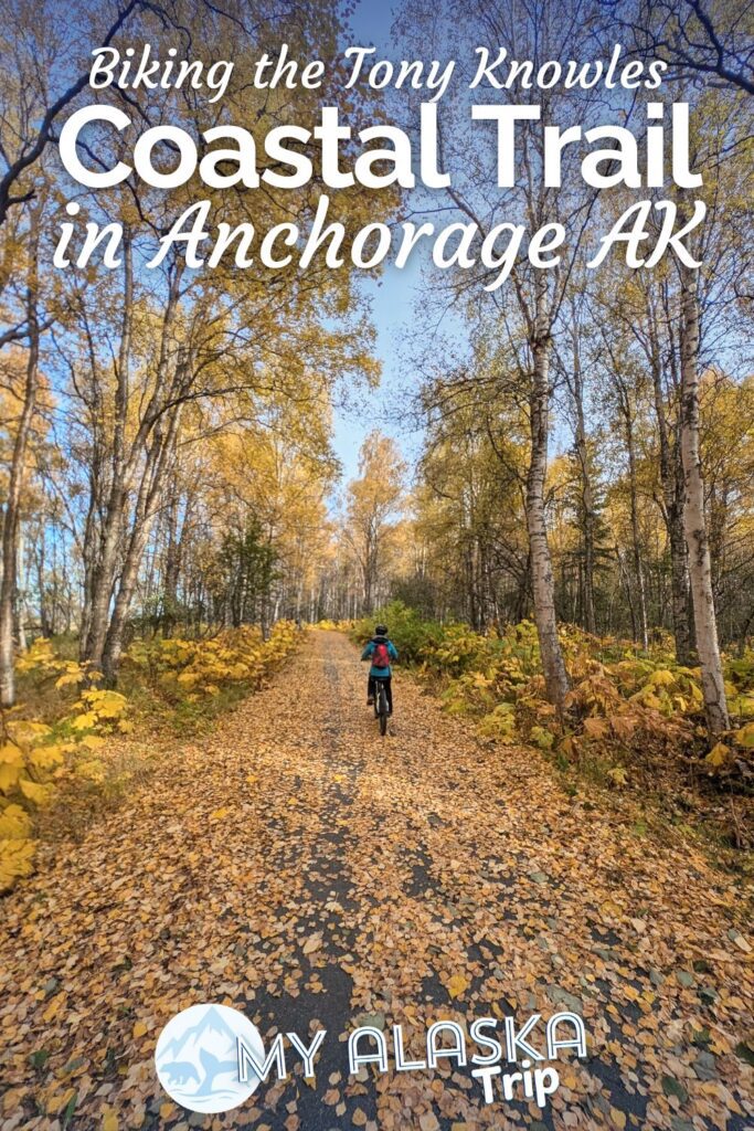 Biking the Tony Knowles Coastal Trail in Anchorage is one of the best ways to both enjoy the outdoors AND see wildlife within the city. Here you'll find information on bike routes (with a map), bike rentals and enjoying the coastal trail viewpoints.