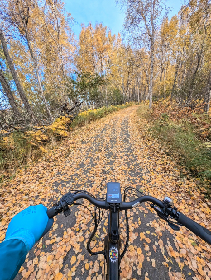 Biking the Tony Knowles Coastal Trail with Fall Colors Anchorage Alaska 2