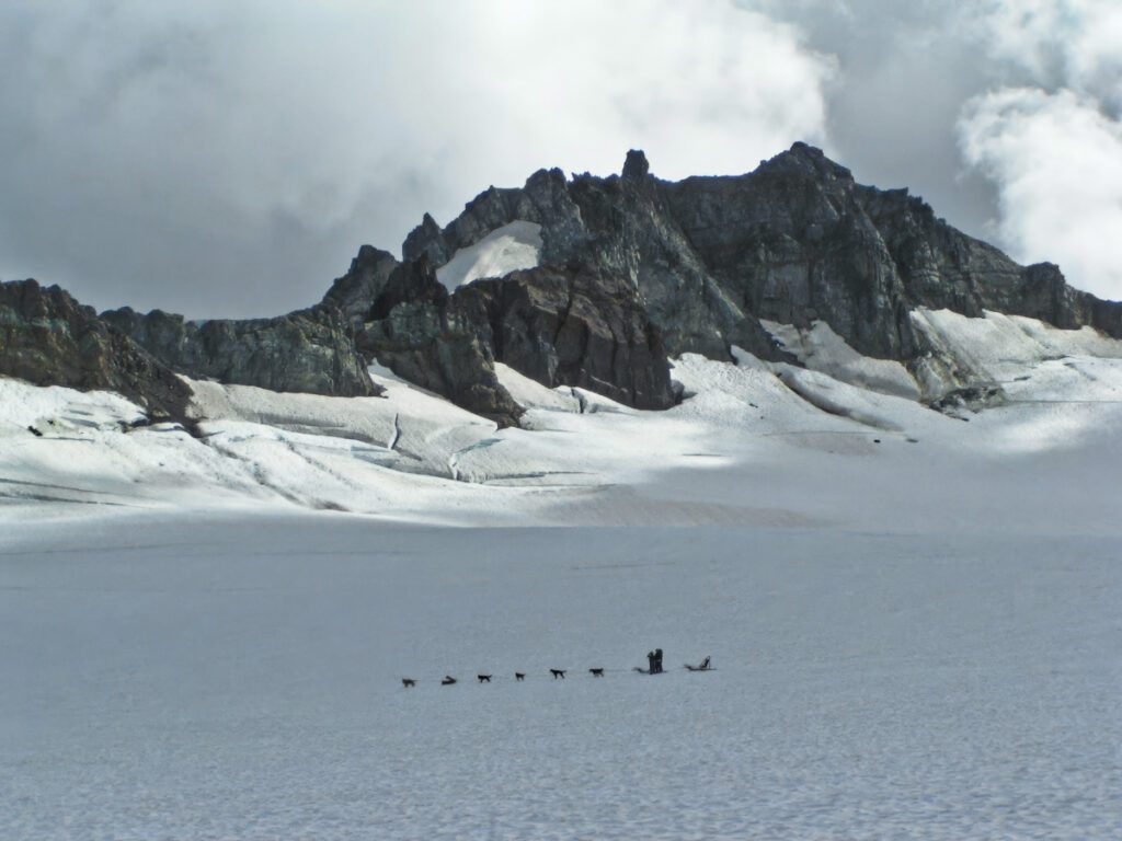 Dogsledding on Godwin Glacier with Seward Helicopter Tours