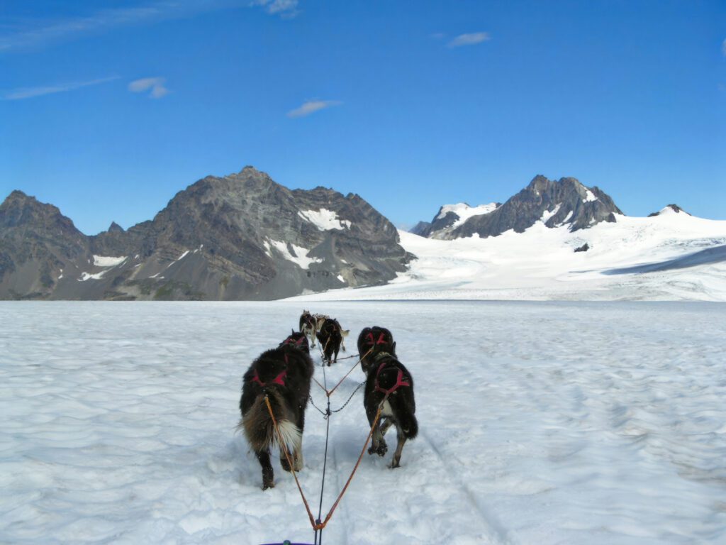 Dogsledding on Godwin Glacier with Seward Helicopter Tours