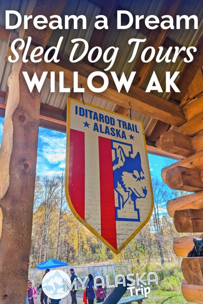 Dream a Dream Sled Dog Tours is a great place to see dogsledding operation up close and to meet sled dogs. Iditarod champions and mushers bring this Alaskan cultural staple to life for visitors. Learn more about the experience and what to expect.