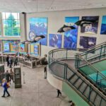 Entry Lobby of Alaska Sea Life Center aquarium Seward Kenai Peninsula Alaska 1