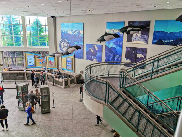 Entry Lobby of Alaska Sea Life Center aquarium Seward Kenai Peninsula Alaska 1