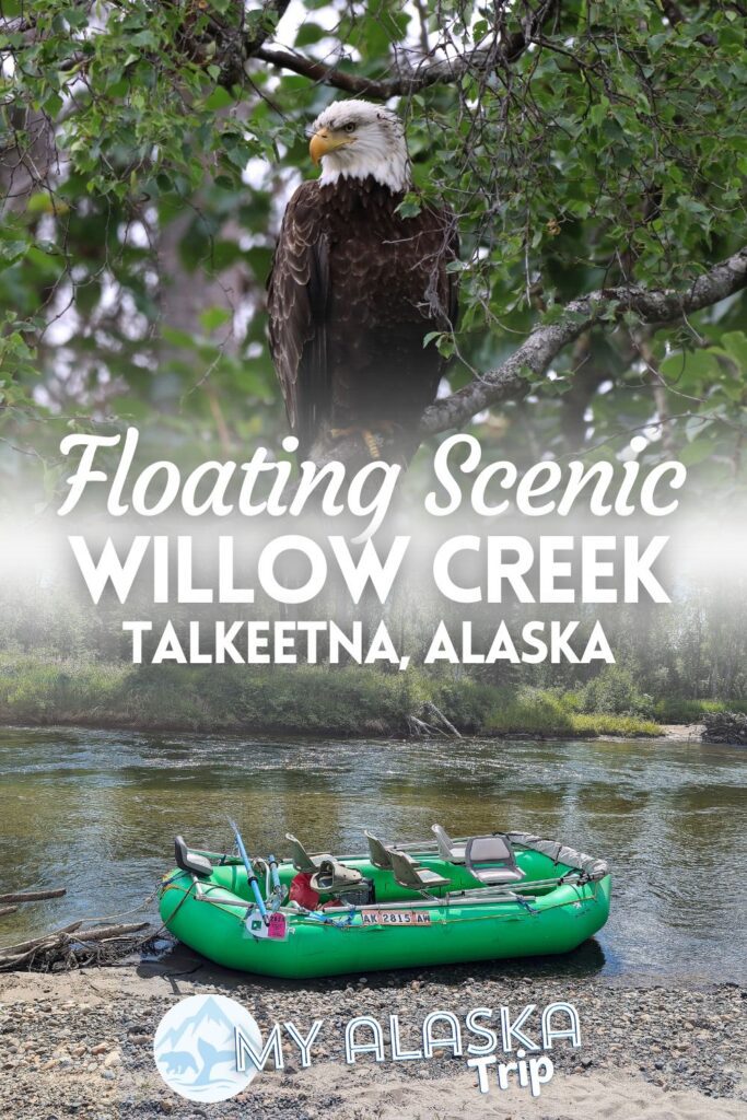 Willow Creek Tours offers several beautiful scenic floats each day. Located very near Talkeetna, this is a great activity for visitors who don't want to do white water rafting but DO want to explore the backcountry when they visit Alaska.