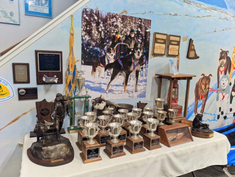 Iditarod Trophies and Mural at Dream a Dream Sled Dog Tours Willow Alaska 2