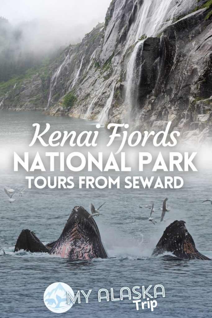 Kenai Fjords Tours in Seward is one of the best ways to experience the National Park. From photography tips to choosing which Kenai Fjords tour is right for you, here you'll find everything you need to know to plan an incredible experience.