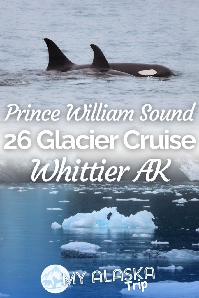 The Phillips 26 Glacier Cruise from Whittier is one of the best boat tours to do near Anchorage. Visiting College Fjord and Blackstone Bay, see what makes this tour so great and good for people with motion sickness.