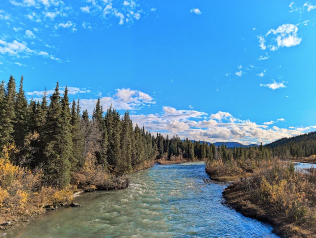 Sanctuary River in Denali National Park Alaska 1