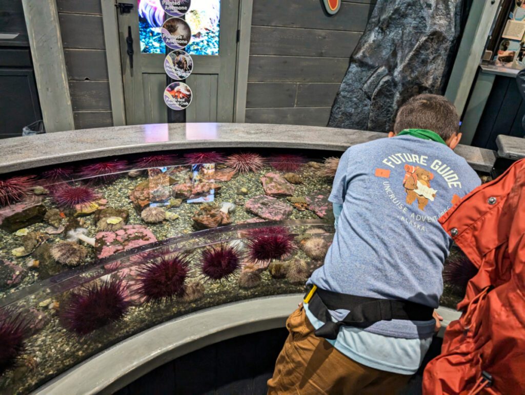 Taylor Family at Alaska Sea Life Center Aquarium in Seward Alaska 2