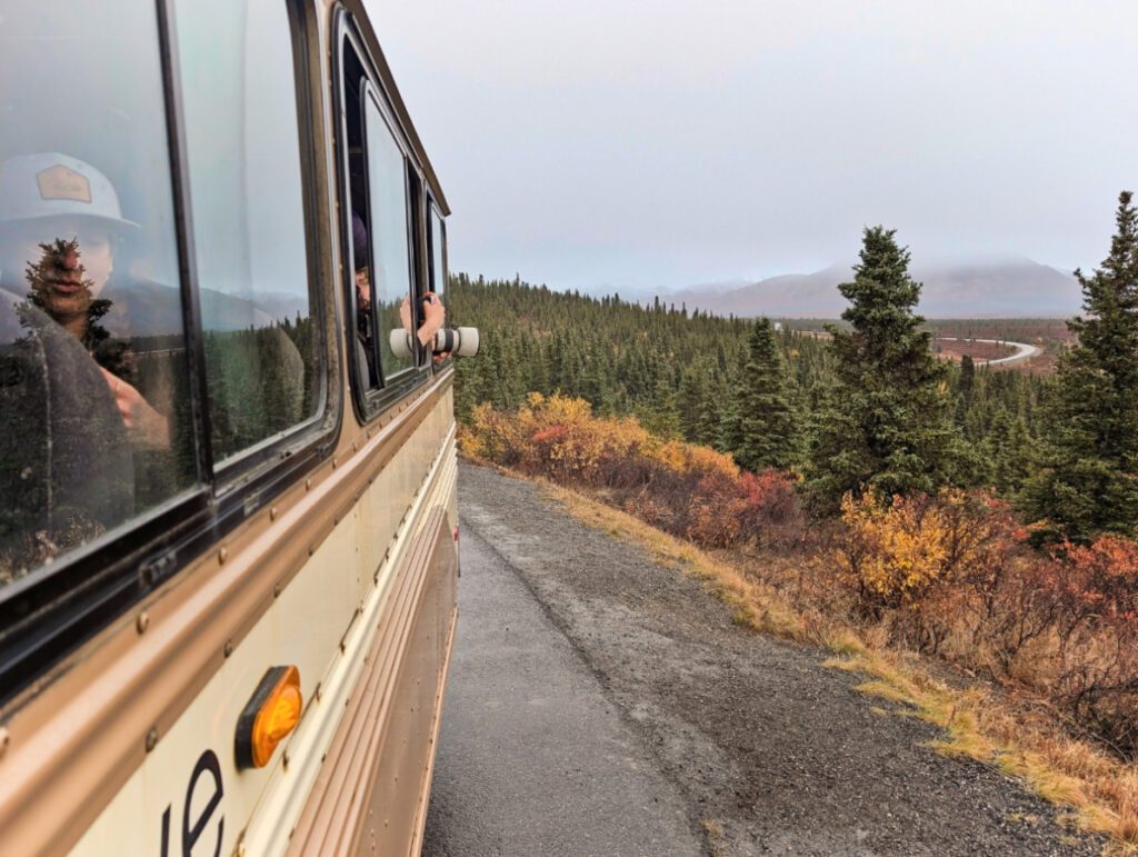 View from Denali Natural History Tour Bus Denali National Park Alaska 1