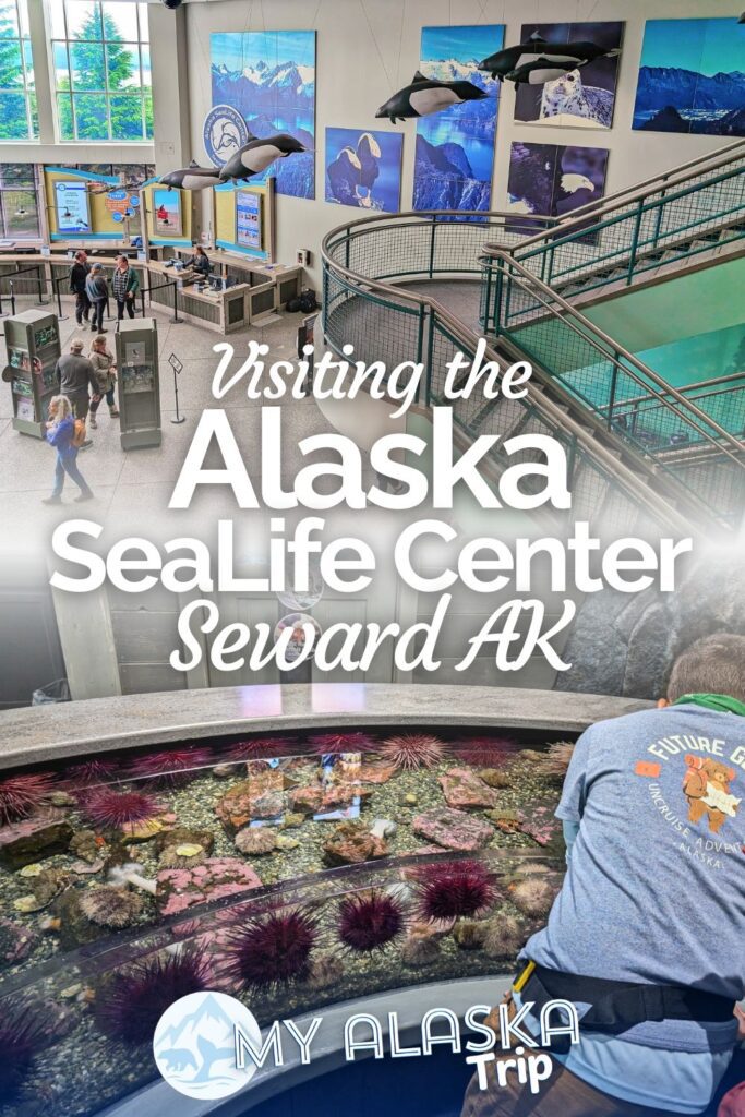 The Alaska SeaLife Center in Seward is the only aquarium in Alaska. This is a great place to visit to see puffins, learn about the wildlife in the Gulf of Alaska, and to support the animal hospital on site taking care of otters, seals and more.