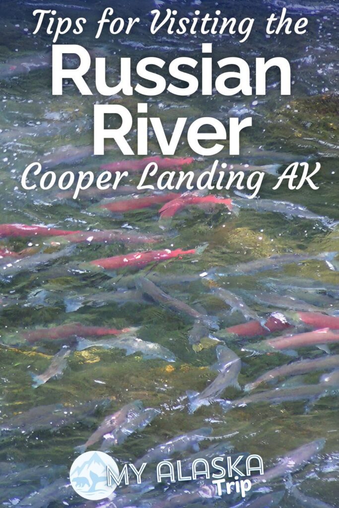 The Russian River on the Kenai Peninsula is one of the best places in Southcentral Alaska for seeing brown bears and bald eagles. Famous for its salmon runs, see what else you can do on the Russian River besides fishing, including trails and wildlife watching.