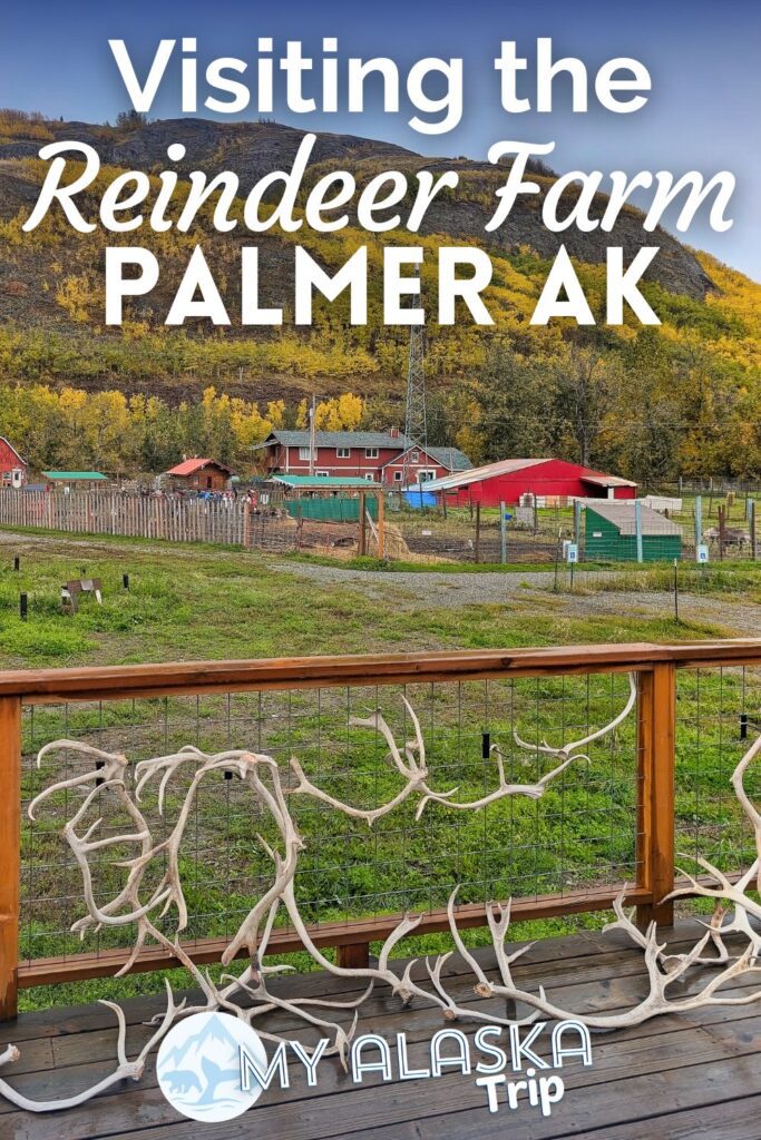 The Reindeer Farm in Palmer is a fun place to visit in summer or winter. Get up close with reindeer (native to Alaska) and learn about what makes them so special, as well as meet other animals.