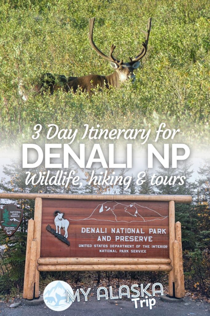 This Denali National Park itinerary is perfect for any first time visitor or somebody who just wants to experience the best of Alaska. A 3 day travel plan to explore Denali NP is great for hiking, seeing wildlife and falling in love with the Alaskan tundra.