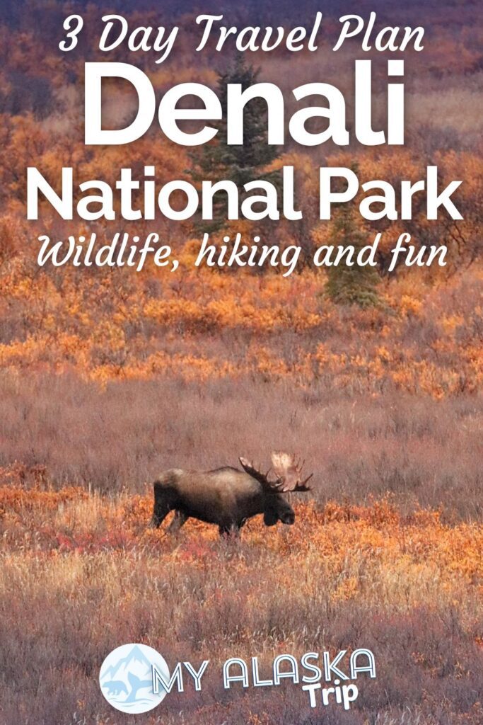 This Denali National Park itinerary is perfect for any first time visitor or somebody who just wants to experience the best of Alaska. A 3 day travel plan to explore Denali NP is great for hiking, seeing wildlife and falling in love with the Alaskan tundra.