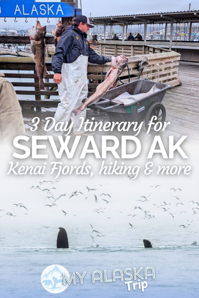 This Seward itinerary is ideal for either an adventurous traveler or a family with kids. See things to do in Seward, Alaska with a plan to visit Kenai Fjords National Park, learn about wildlife and see more of the Kenai Peninsula.