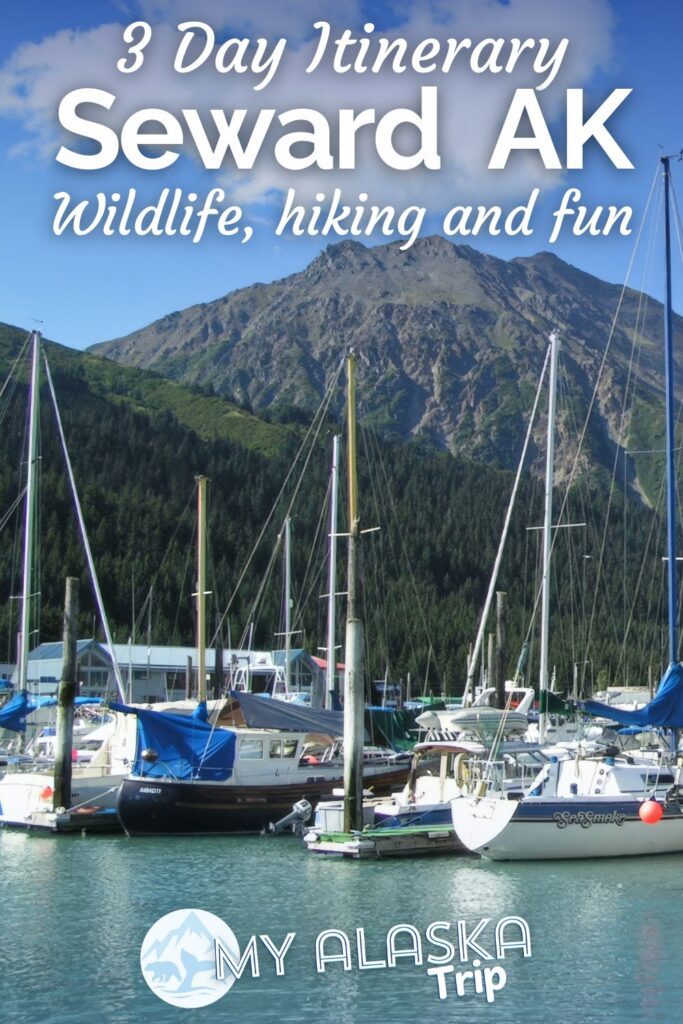 This Seward itinerary is ideal for either an adventurous traveler or a family with kids. See things to do in Seward, Alaska with a plan to visit Kenai Fjords National Park, learn about wildlife and see more of the Kenai Peninsula.