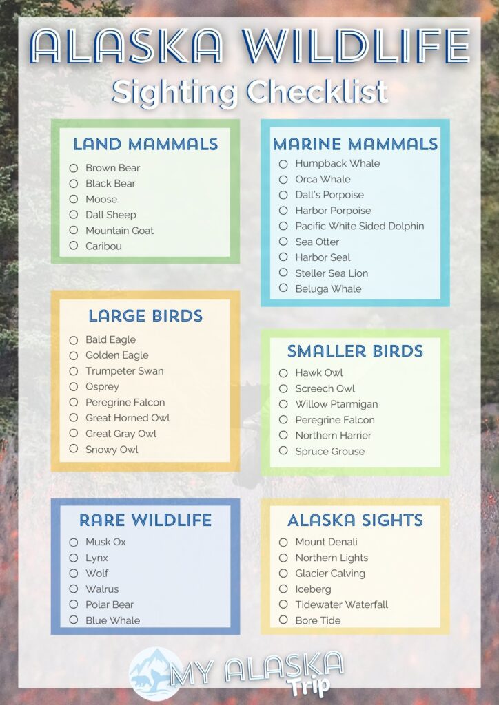 Alaska wildlife is beautiful and diverse, and sometimes tricky to spot. This animal checklist will help you keep your eyes peeled for successful Alaska wildlife sightings.