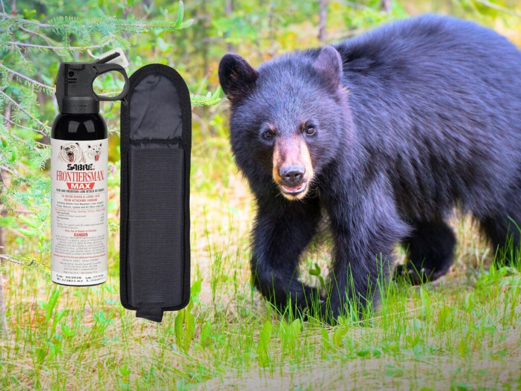 Black Bear with Bear Spray