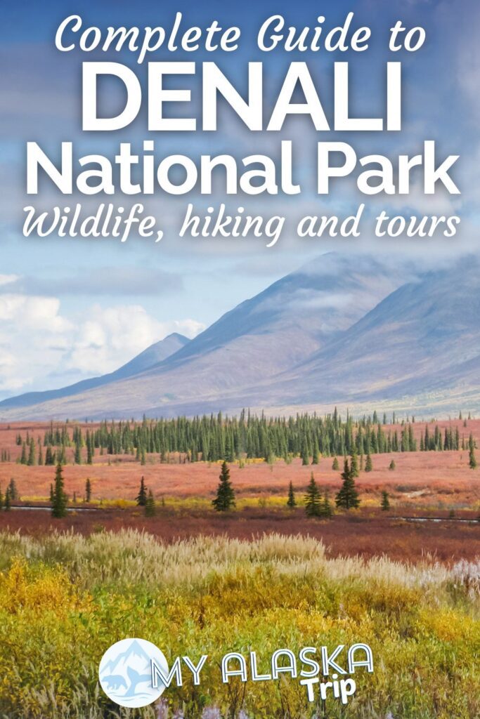 This guide to Denali National Park covers everything from hiking in the tundra to the history of Denali. See why Mt McKinley has been restored to the name Denali, what wildlife you'll see, and how to use the bus system in the National Park.