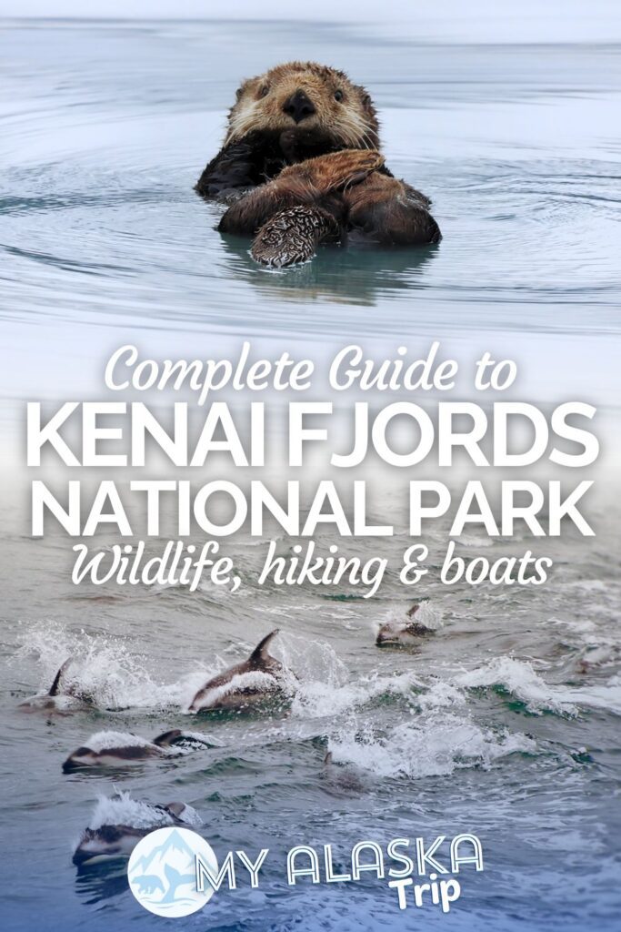 Kenai Fjords National Park is one of the best places in Alaska to see tons of wildlife up close. Add tidewater glaciers and boat tours to that and it's a must see on your Alaska trip. Here you'll find all the information for planning a visit and things to do at Kenai Fjords NP in Seward AK.