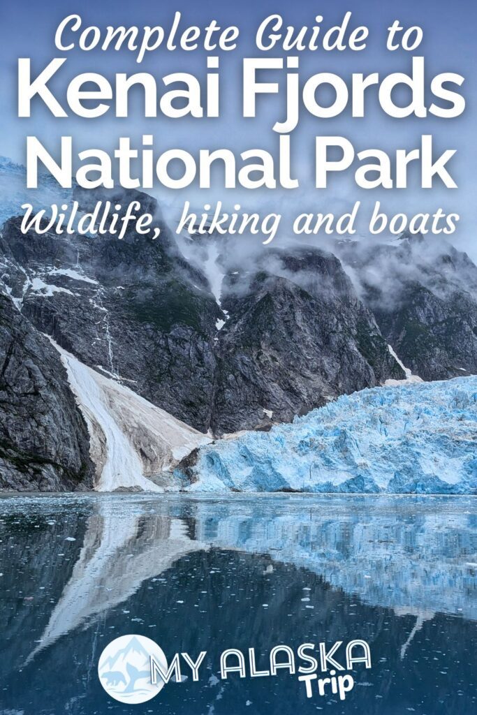 Kenai Fjords National Park is one of the best places in Alaska to see tons of wildlife up close. Add tidewater glaciers and boat tours to that and it's a must see on your Alaska trip. Here you'll find all the information for planning a visit and things to do at Kenai Fjords NP in Seward AK.