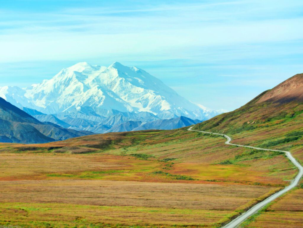 Fall Color on road to Wonder Lake in tundra Denali National Park 1