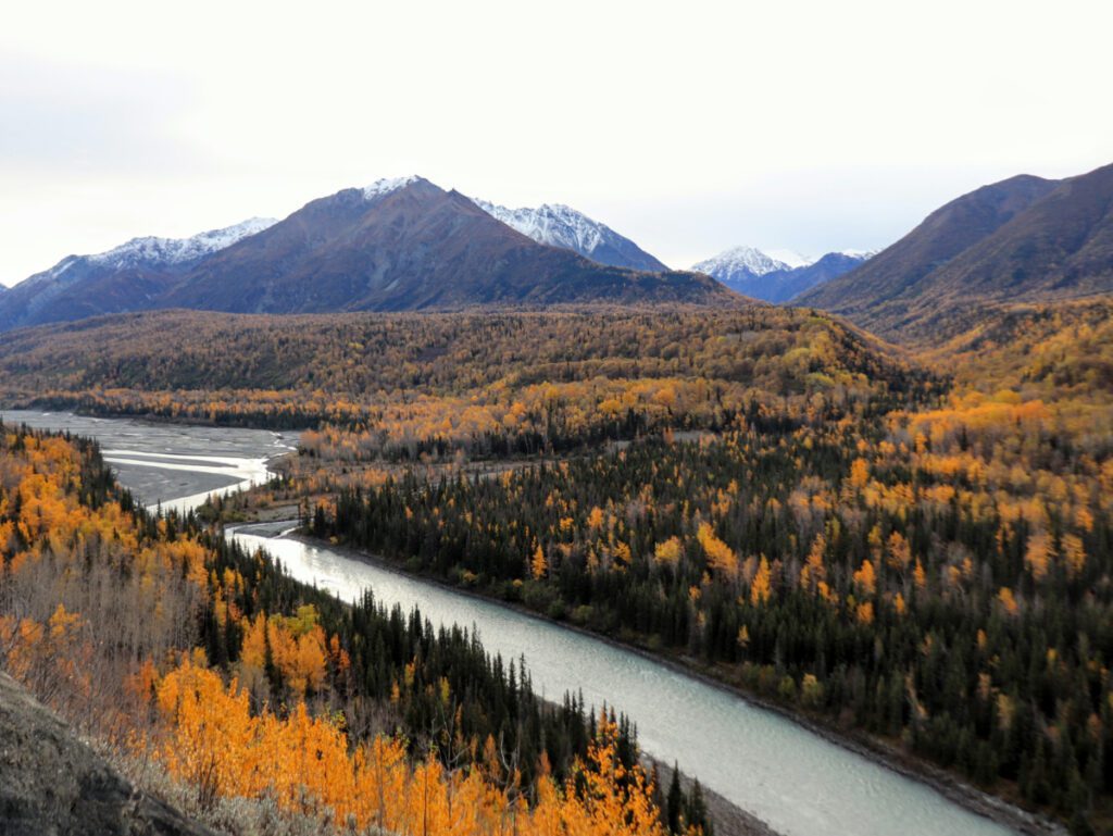 Fall Colors on Matanuska River Palmer Alaska 2