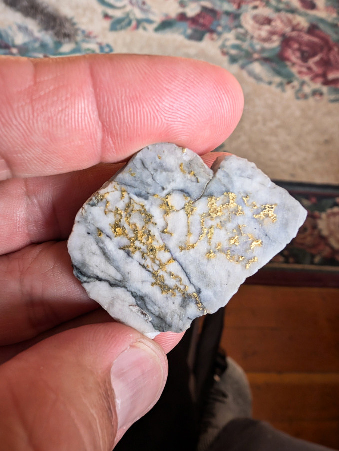 Gold in Quartz from Gold Cord Mine Hatcher Pass Palmer Alaska 1