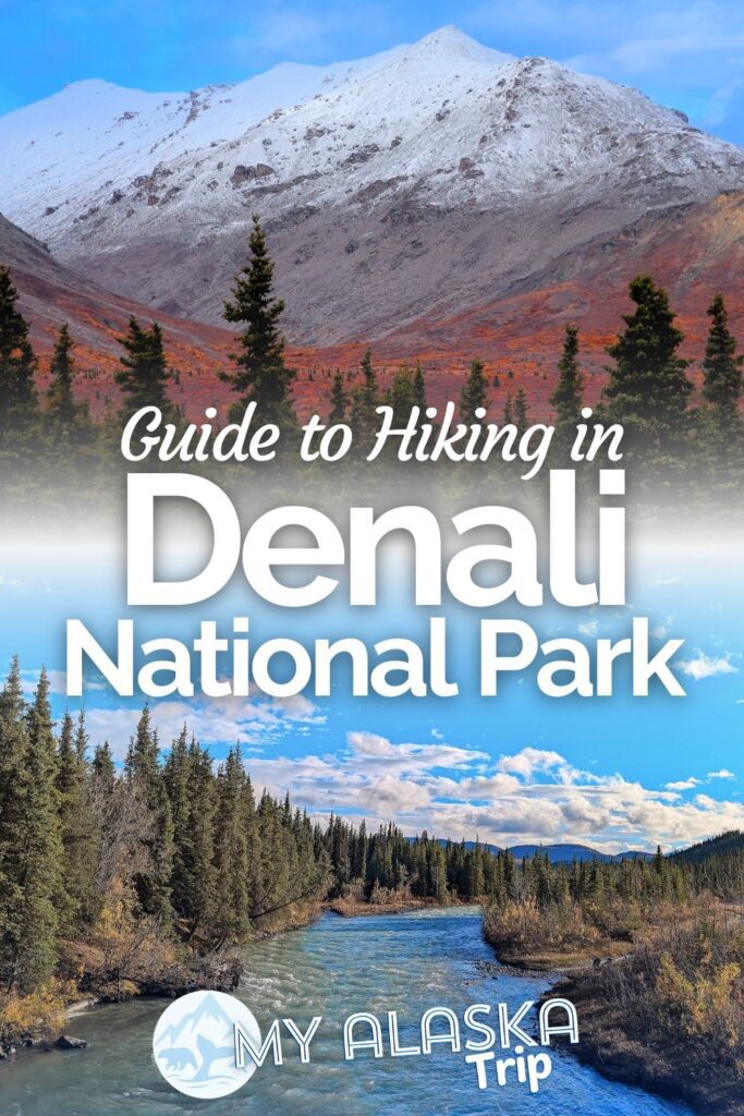 Off-trail hiking in Denali National Park is one of the most unusual experiences you can have in Alaska. While we're so used to staying on a path, Denali NP encourages exploring your own path through the tundra. See tips for routes, safety and what to expect hiking in Denali NP.