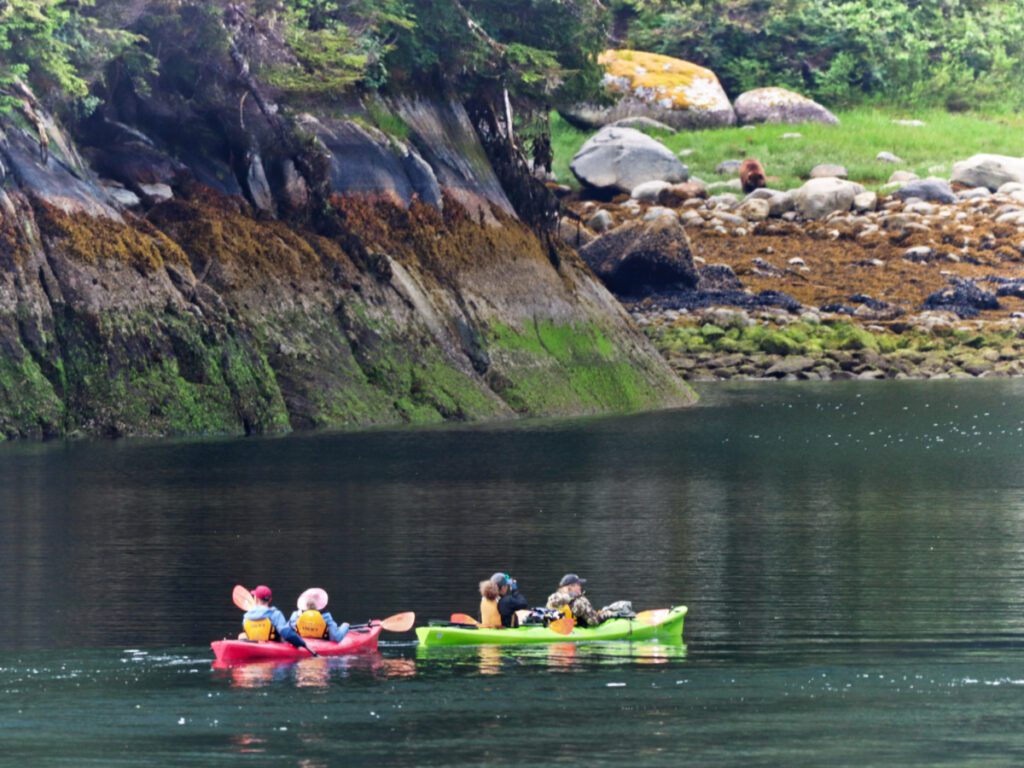 Kayaking with Alaskan Brown Bear in Takatz Bay UnCruise Wilderness Legacy Alaska 1