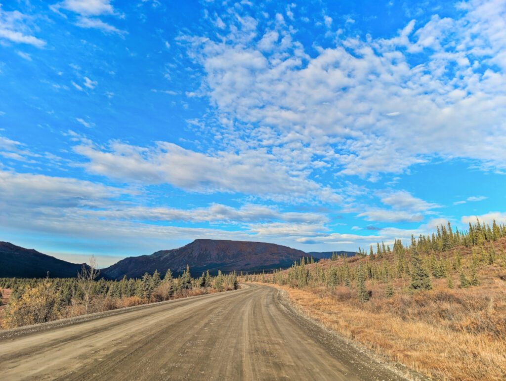 Park Road in Teklinika Valley Denali National Park Alaska 1