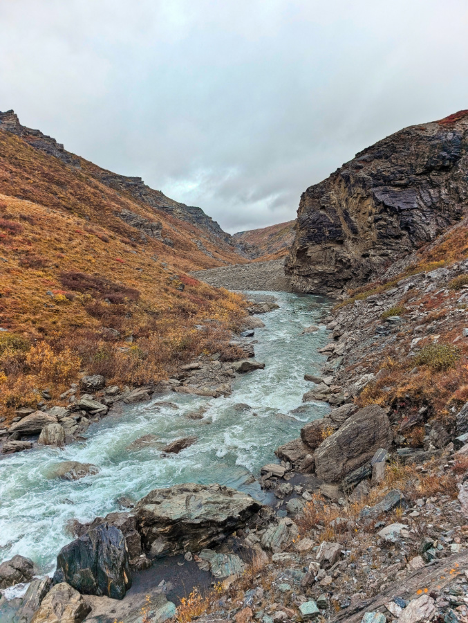 Savage River in Denali National Park Alaska 2