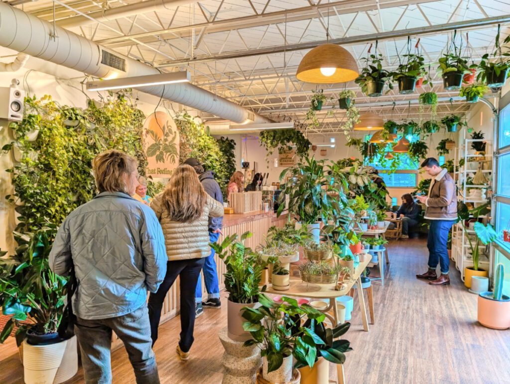 That Feeling Co Plant Shop and Cafe at K Street Market in Anchorage Alaska 1