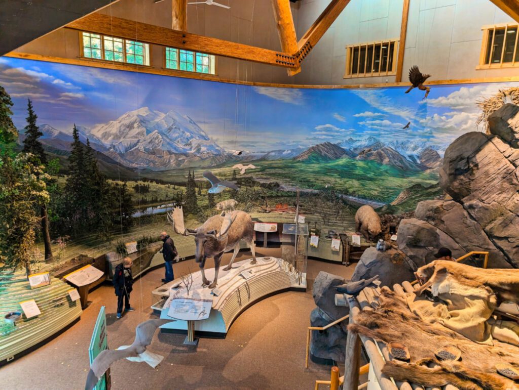 Wildlife Display at Visitor Center Denali National Park Alaska 1