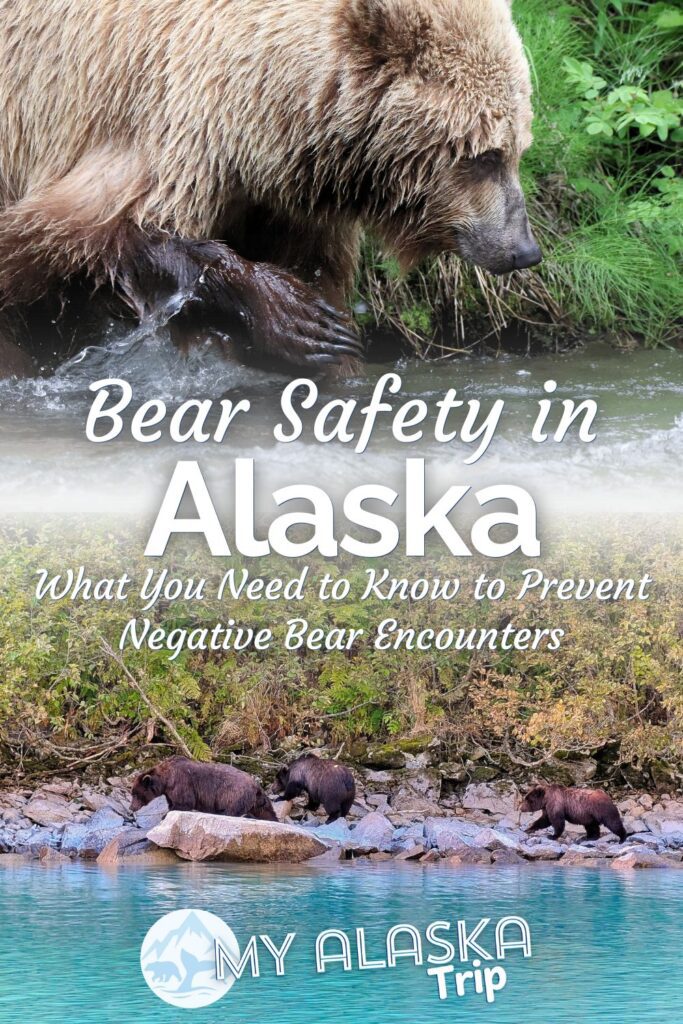 Bear safety in Alaska is important, as even in the developed areas the wilderness creeps in. See how you can prevent negative bear interactions and what to do if you do get into a situation with a bear. From bear spray and avoidance tactics, we've got great tips to stay safe.