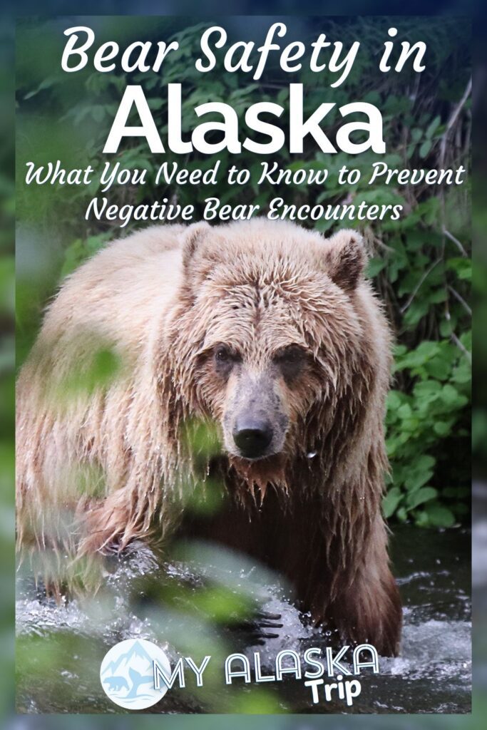 Bear safety in Alaska is important, as even in the developed areas the wilderness creeps in. See how you can prevent negative bear interactions and what to do if you do get into a situation with a bear. From bear spray and avoidance tactics, we've got great tips to stay safe.