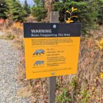 Bear Safety sign at Mountain Vista Trail Denali National Park Alaska 1