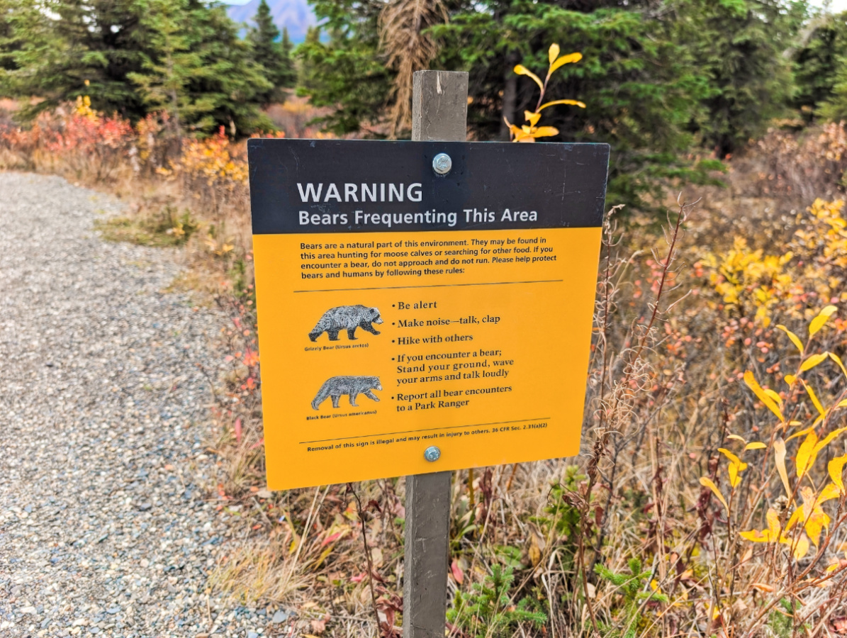 Bear Safety sign at Mountain Vista Trail Denali National Park Alaska 1