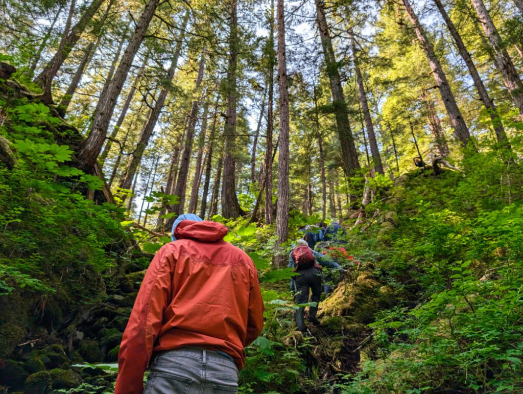 Taylor Family on bushwhacking hike with UnCruise Wilderness Legacy on Idaho Inlet Alaska 1