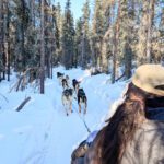 View from dogsled Mushing with Basecamp Adventures at Borealis Basecamp Fairbanks Alaska 1