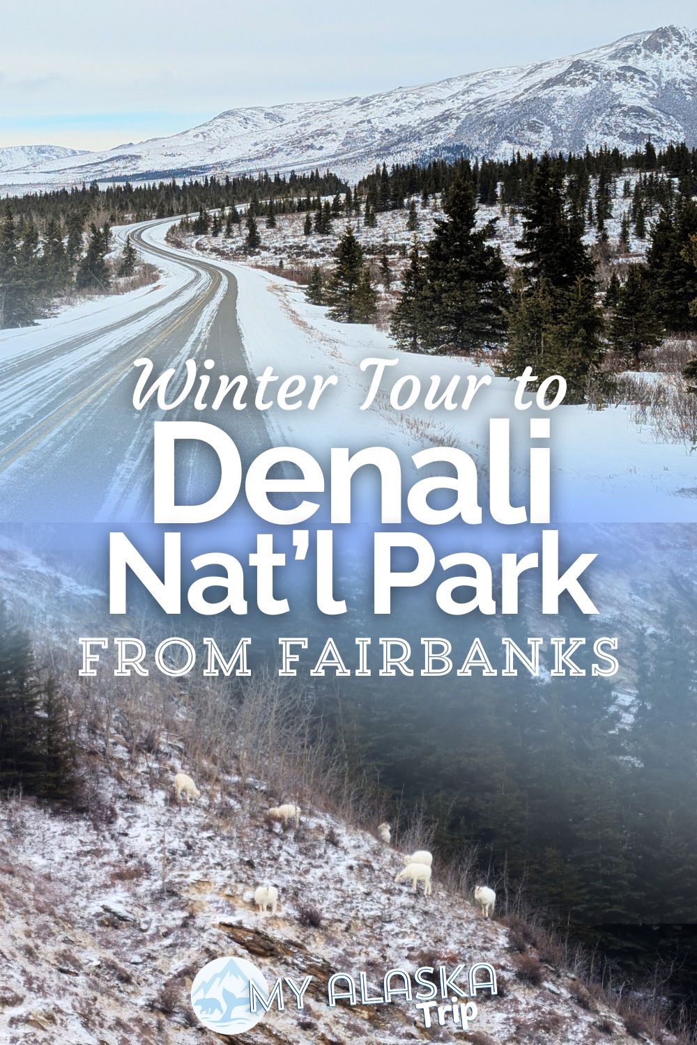 DENALI NATIONAL PARK TOURS FROM FAIRBANKS visual data 6