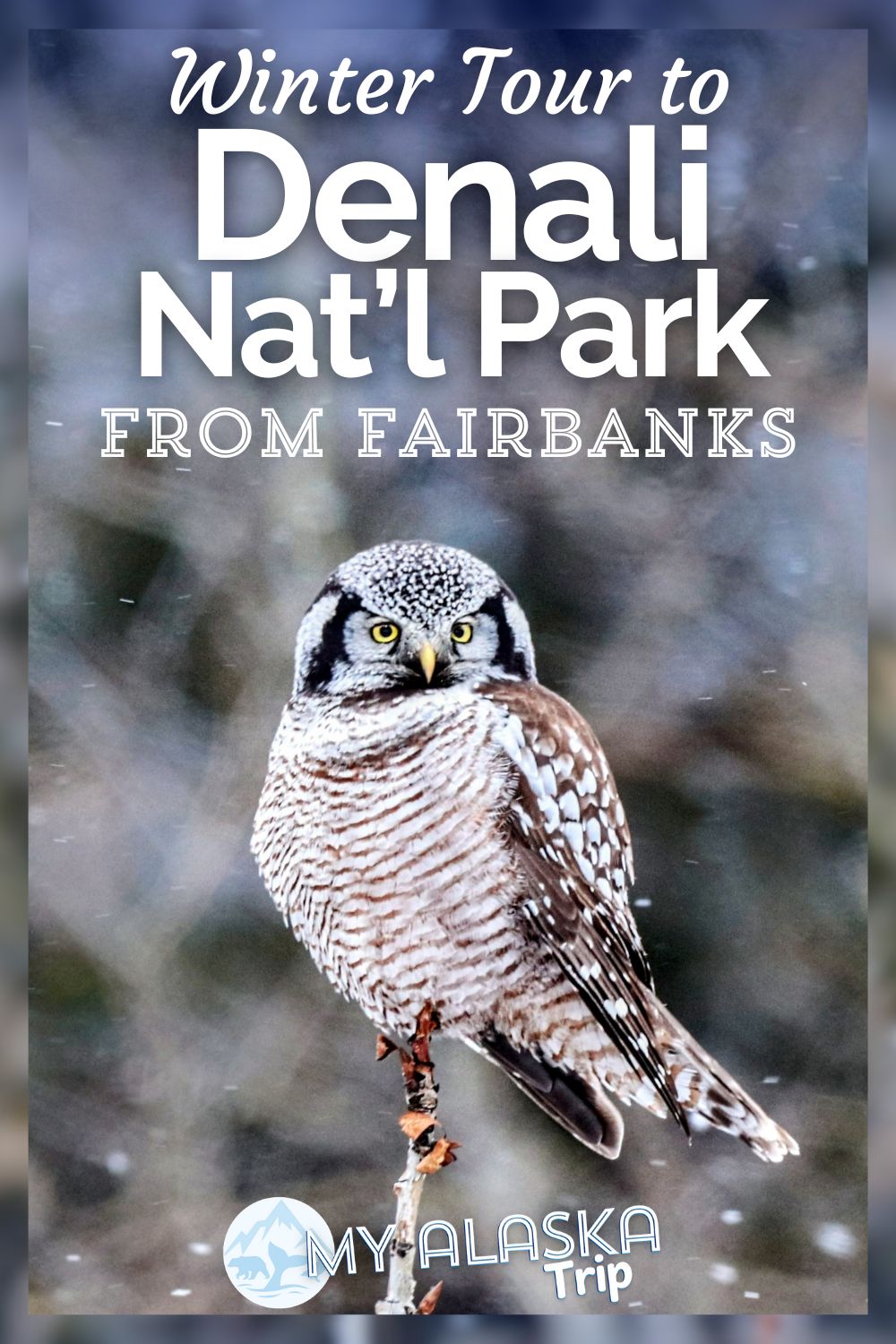 DENALI NATIONAL PARK TOURS FROM FAIRBANKS visual data 5