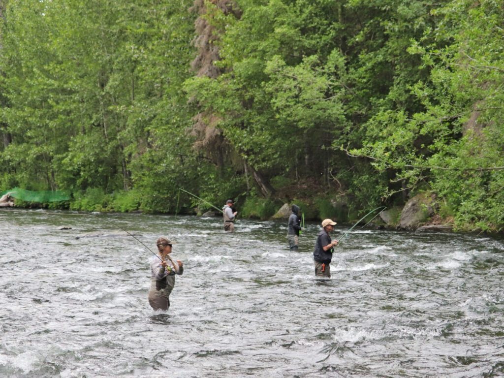 Fly Fishing for Sockeye Salmon on Russian River Cooper Landing Kenai Peninsula Alaska 2