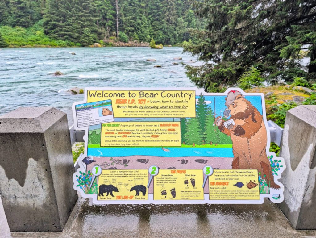 Bear Safety Exhibit at Chilkoot River in Chilkoot Lake State Park Haines Alaska 1