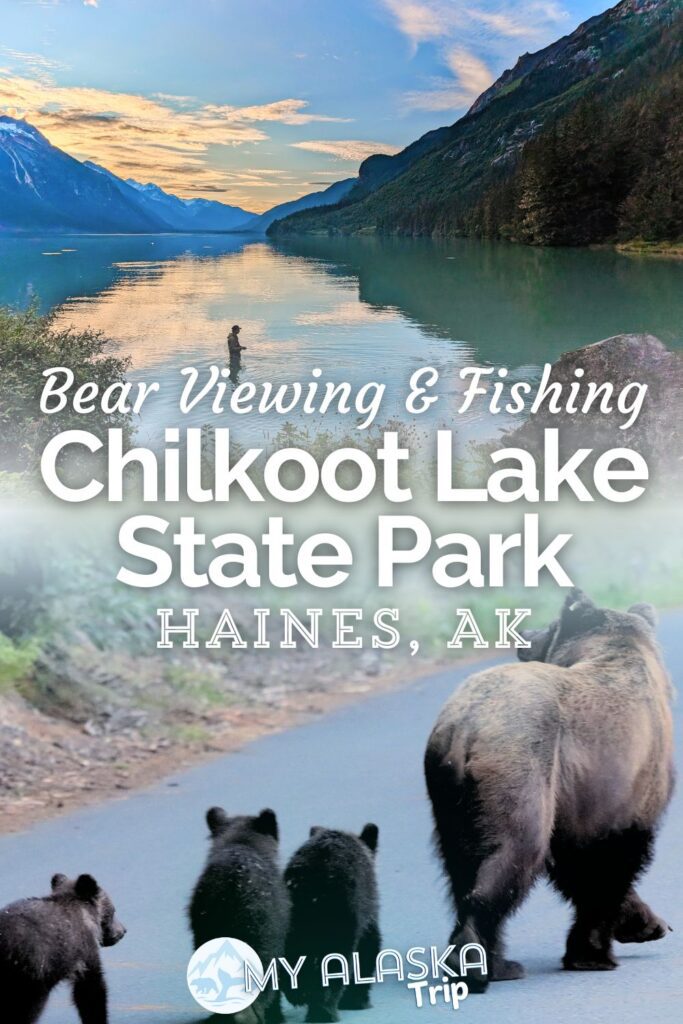 Chilkoot Lake State Park in Haines is a beautiful spot for fishing as well as consistently seeing bears and bald eagles. We have great tips for when and where to watch for brown bears, how to see salmon spawning, watching for eagles and even kayaking recommendations at Chilkoot State Recreation Area.